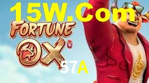 Premium Interface 57A